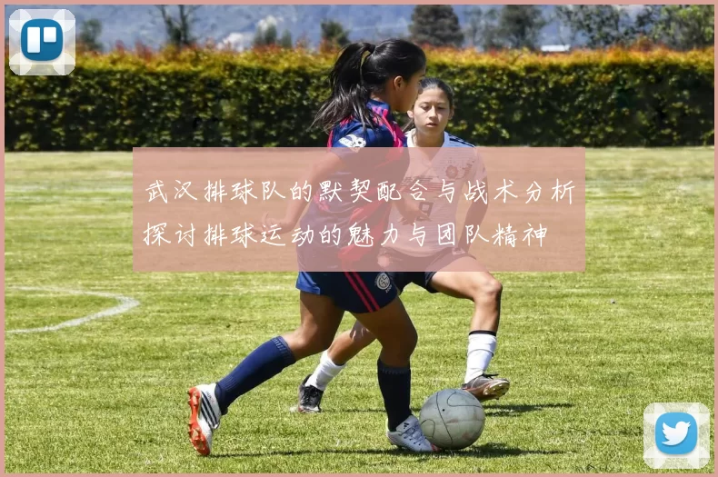 武汉排球队的默契配合与战术分析探讨排球运动的魅力与团队精神