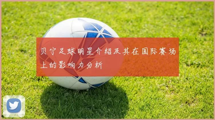 贝宁足球明星介绍及其在国际赛场上的影响力分析